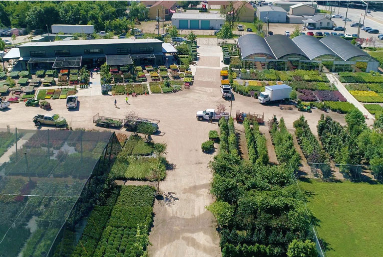 An Overview Shot Of A Nursery An Overview Shot Of A Nursery