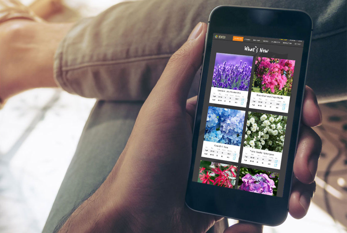 A Person Holding A Phone With The Tab "What's New" Open In The Newton Nurseries App. A Person Holding A Phone With The Tab "What's New" Open In The Newton Nurseries App.